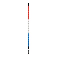 ECOXGEAR 4 Foot Led Whip W/ Controller