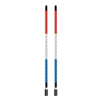 ECOXGEAR 4 Foot Whip LED Kit W/ Controller
