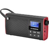AVANTREE SP850 Bluetooth Portable Rechargeable FM Radio Speaker with SD Card 