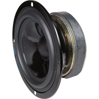 100Mm 4" 30W Spare Speaker 8Ohm Spare Speaker Replacement