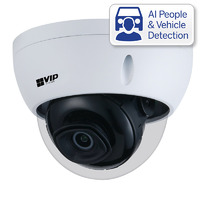 Professional AI Series 4.0MP Fixed Vandal Dome
