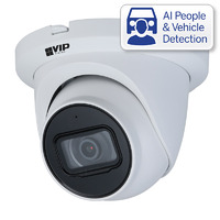 Professional AI Series 4.0MP Fixed Turret Dome