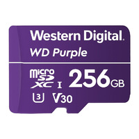 256GB Surveillance MicroSD Card