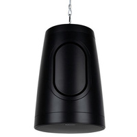 Dayton Audio  WP80XTB  8 Inch IP66 Pendant Landscape Speaker 70V 100V Black