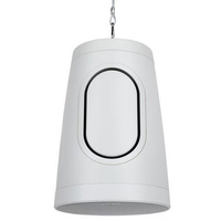 Dayton Audio WP80XTW 8 Inch Commercial Pendant Speaker with 70V 100V Transformer