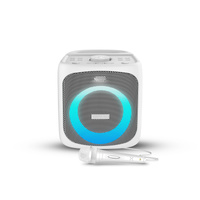 BlueAnt X4 Portable 50-Watt Bluetooth Party Speaker - White