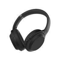 BlueAnt ZONE X - Premium ANC Headphones - Black
